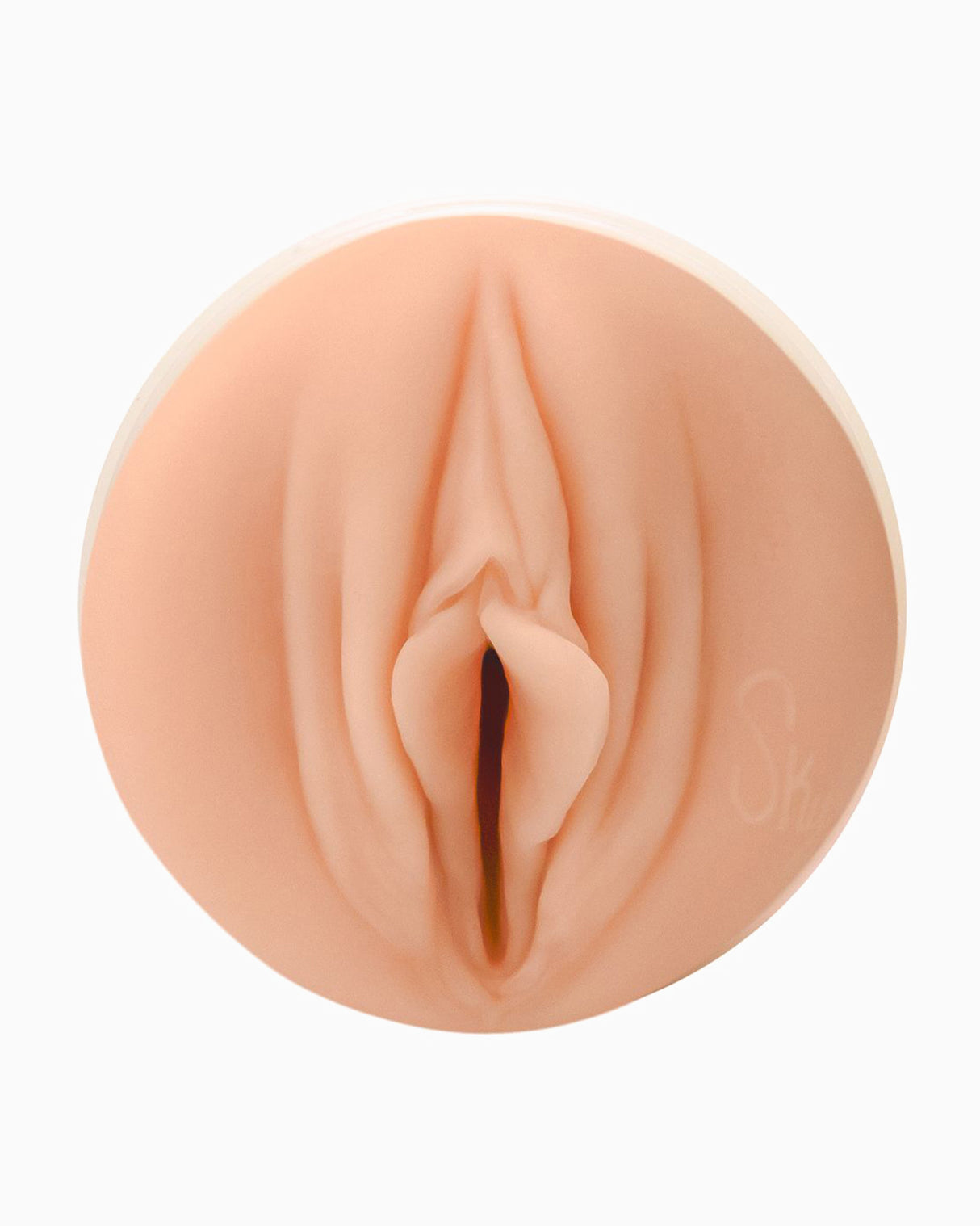 Fleshlight Sky Bri Masturbator