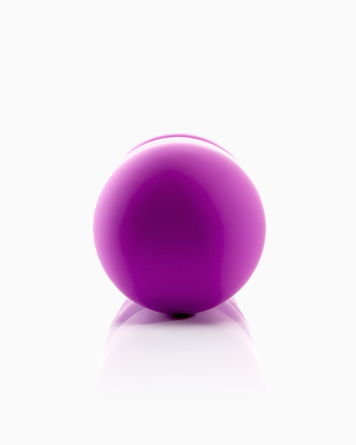 Pillow Talk Mini Magic Wand Vibrator