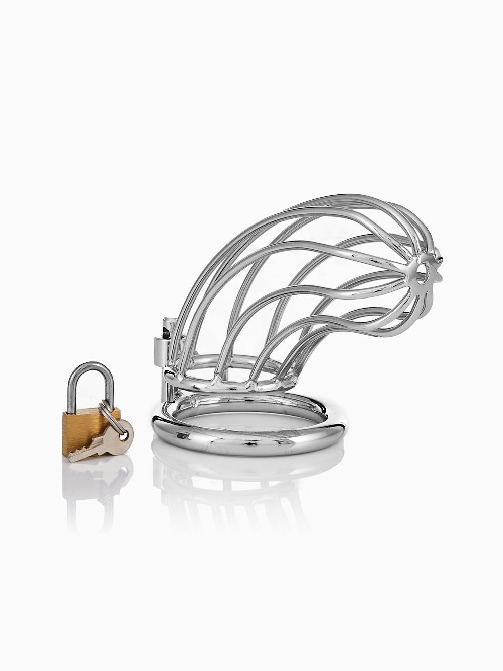 Pillow Talk Tease Cock Cage with Lock