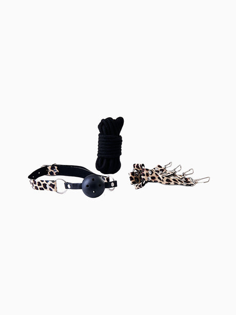 Pillow Talk Submissive Bondage Kit