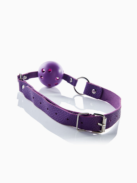 Pillow Talk Ball Gag