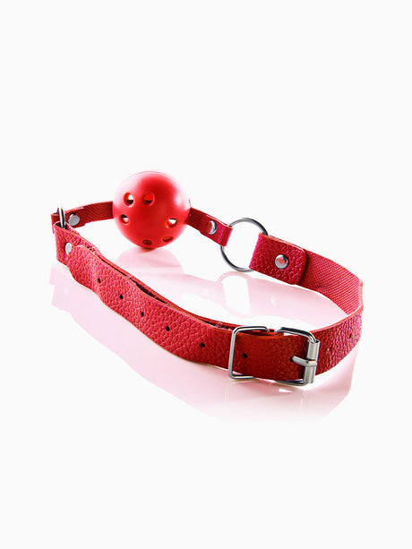 Pillow Talk Ball Gag