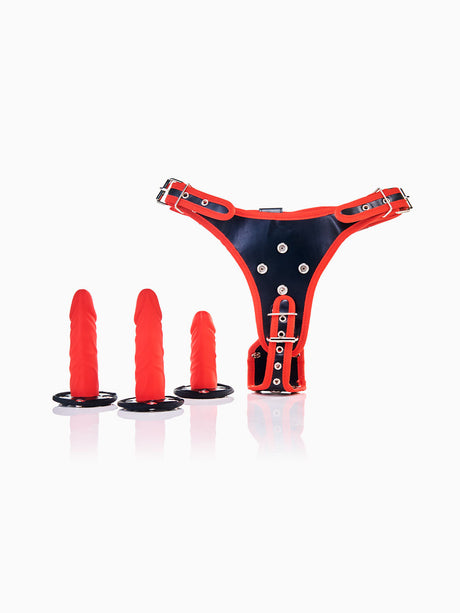 Pillow Talk Strap On Harness and Dildos